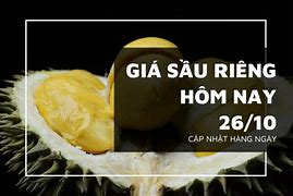 Giá Sầu Riêng Ri6 Hiện Nay