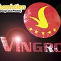 Logo Vingroup Không Nền Trắng Cho Ảnh Đại Diện Đẹp